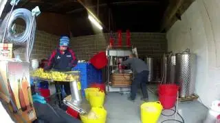2016 cider day 4 for the yorkshire cider company