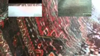 How Professional Oriental Rug Cleaners in Coconut Creek