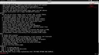 [Penetration Testing]  Nmap Sycn Scan