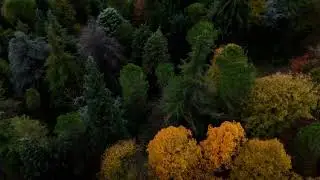 Golden Views from San Luca: Bologna's Autum Peak(圣卢卡)