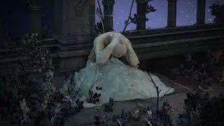 Elden Ring - D's Brother Unused Dialogue