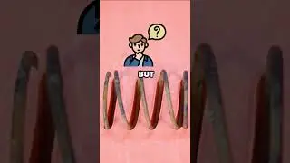Dog House? Is It Rich Or Just Normal?! 🤯😳 Sound:‪@tyler.vitelli‬