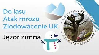 ZLODOWACENIE W UK / PREZENT DLA ARKA / NOWE SPRZETY W DOMU /