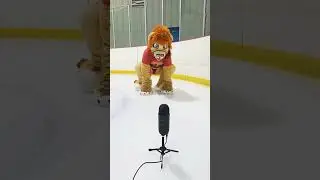 Furry ASMR for you to enjoy ❤️