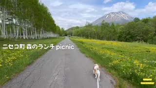 羊蹄山麓にあるカフェでニセコの地物トマトを味わう【犬連れ北海道旅行とドライブ】