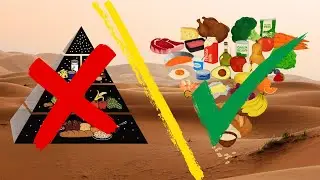 NEW Food Pyramid for Americans (2025–2030)