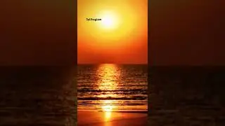 Sunset view 🌇love the moment ❤️😍 #dance #dancecover #sunsetview #sunset