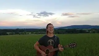 Philipp Richter - Friedensbaum