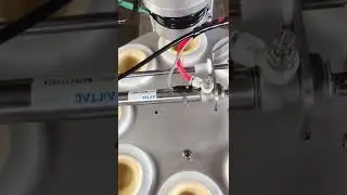 Low Price Multi-purpose egg tart machine press