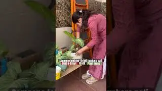 Let&rsquo;s grow forest 🌳 #comedy #coupledailouges #funny #shorts #youtubeshorts #drivinghumor