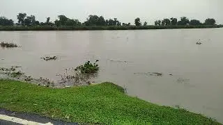 parman nadi