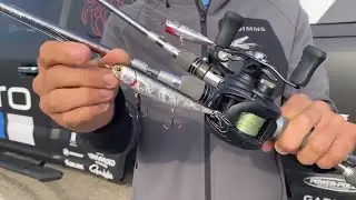 Two TOPWATER lures you NEED to throw in the FALL | Brent Erhler