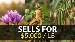 17 Plants That Can Make You A Ton Of Money. Number 3 Sells For $5,000 Per Pound.