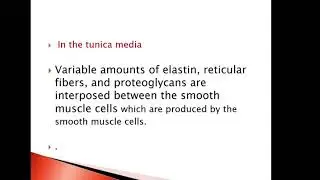 Histology - The Circulatory System Part2  - Al-Bayan University - Faculty Of Pharmacy 1st