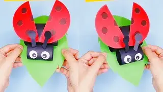 How to Make a Paper Ladybug | DIY Ladybug Craft | Crafts for Kids | School Project Craft