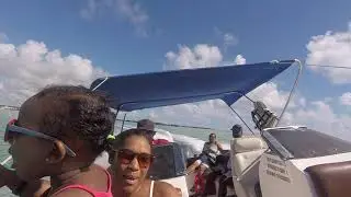 Ile Aux Cerf Lanif de Jaronn