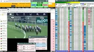 corrida back inteira - trader horse racing betfair