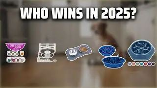 The Top 5 Best Slow Feeder Bowls in 2025 - Must Watch Before Buying!