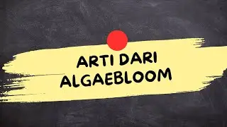 ARTI DARI ALGAEBLOOM (Algaebloom Adalah)