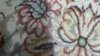 randomlore g