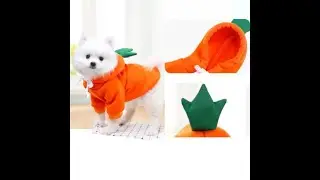 Dog Sweatshirt Clothes|| Toys For Pets || Bed For Kitty And Puppy|| Toys For Cats And Dogs ||#shorts