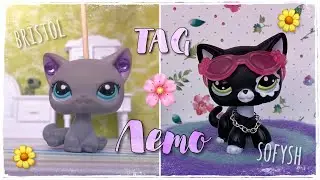 LPS TAG: ЛЕТО // Совместно с BRISTOL