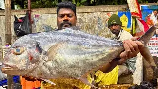 KASIMEDU SPEED SELVAM DIAMOND TREVALLY FISH 🐟 CUTTING VIDEO \ CUTTING FOCUS
