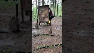 Monkey vs Machine: The Ultimate IQ Test