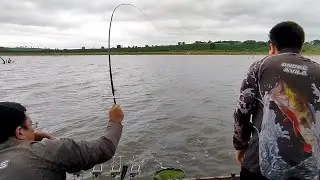 OS MONSTROS APARECERAM! FARTURA DE PEIXES EM PESCA NO LAGO DE FURNAS