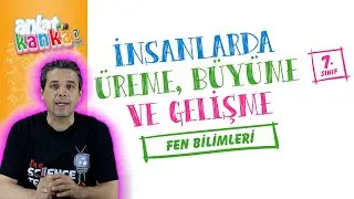 İnsanlarda Üreme, Büyüme ve Gelişme 7. Sınıf