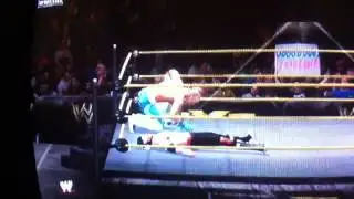 Tyler Breeze Finisher WWE 2K 14