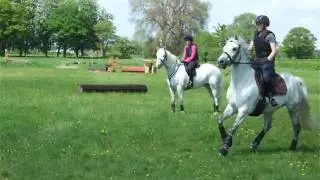 xc schooling at Solihull Riding Club