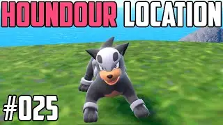 How to Catch Houndour - Pok&eacute;mon Scarlet & Violet