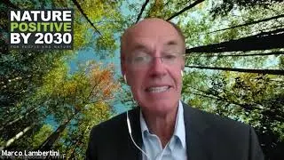 Director General, WWF International - High-Level Event - Transformative Action for Nature & People