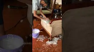 Best sofa cleaning service in mangalore ​#sofacleaning #sofawash #deepcleaningservices #bestcleaning