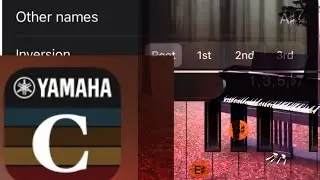 Learn every song progression precisely and accurately with CHORD TRACKER ( INTRO)