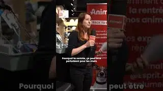 Soir&eacute;e Back To School : des conseils pour en rentr&eacute;e sereine