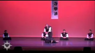 South Bay Shorinji Kempo @ United States Martial Arts Festival 2010