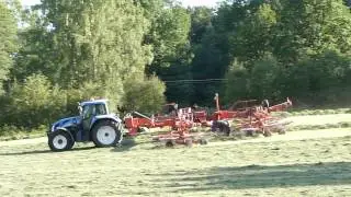 Stranglagga gras 041