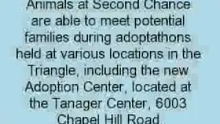 I GoodSearch for Second Chance Pet Adoptions