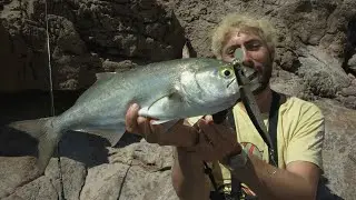 Serra e tonni in mare con Mirky's Fishing - Mediterraneo Expedition
