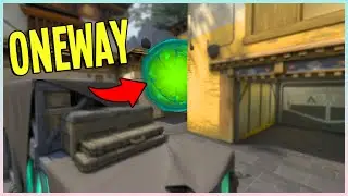 Viper CT Oneway | Haven A