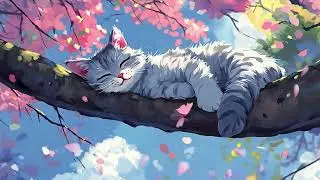🌸Lets relax with Meow☁️33mins of spring lofi music🌱Make your day better🌺