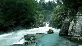 Waterfall White Noise 10H | Nature Sounds for Deep Sleep | Subscribe for Calm! Vital Nature Sounds 🌿