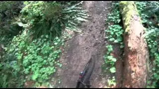 Beaver Lodge Lands Montage