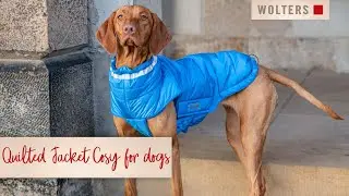 Quilted Jacket Cosy for dogs from WOLTERS