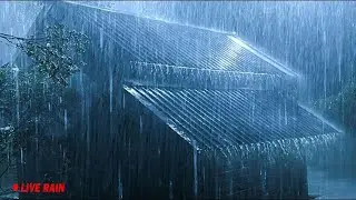 Sleep to Ocean Thunderstorm Sounds to Wake Up Refreshed and Relaxed