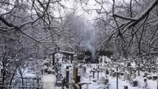 My Dying Bride - Fall With Me