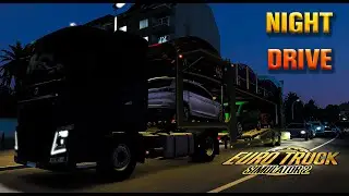 Delivering Cars at Night | ETS2