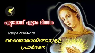 എട്ടുനോമ്പ് എട്ടാം ദിവസം |The eight day lent of Mary| Fr. Sonychen CMI, Fr. Juby CMI